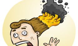 Mullet Burning