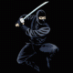 Ninja